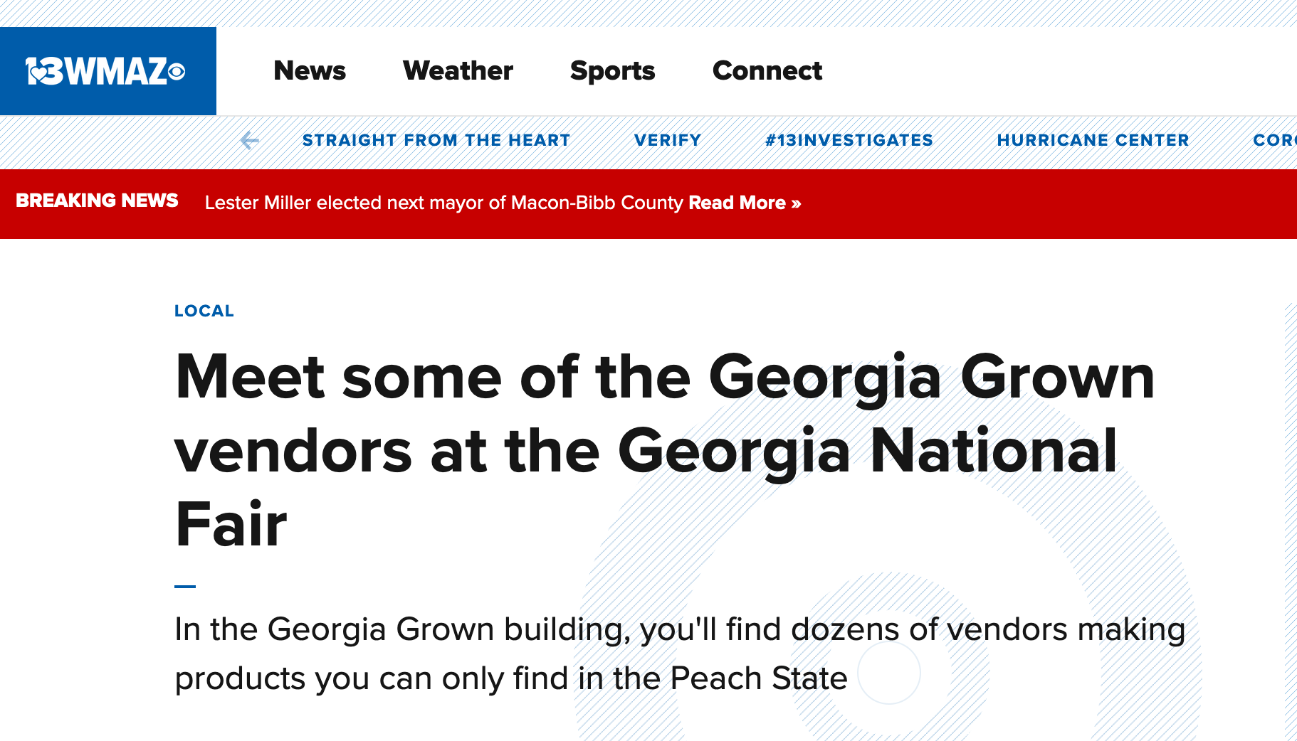 2019 Georgia National Fair